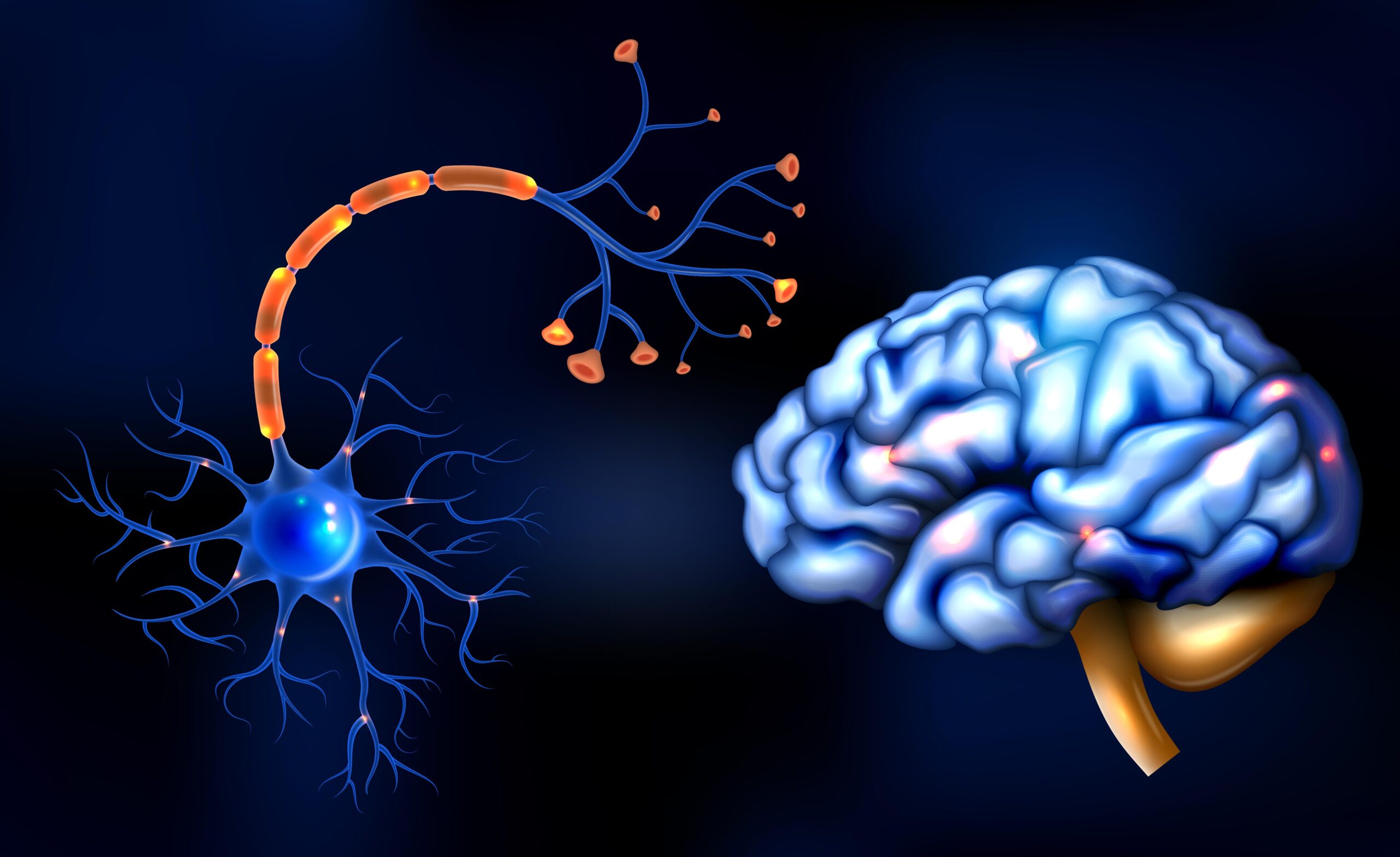 Navigating Medical Guidelines: A Cancer Rebel's Perspective 4 neurogenesis scaled