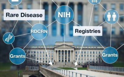 Home - JJ of Reno 15 From Temporary Fix to Permanent System