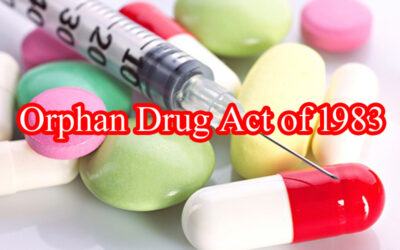 Home - JJ of Reno 14 What We have Really Created: A Self-Perpetuating Industry